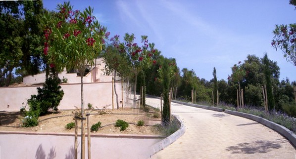 allée bordée